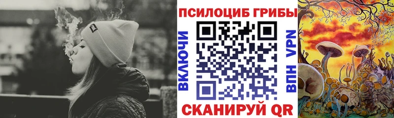 kraken ссылки  Рассказово  Галлюциногенные грибы Magic Shrooms 